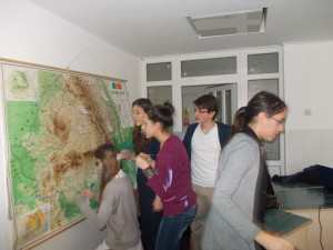 DSCN5196