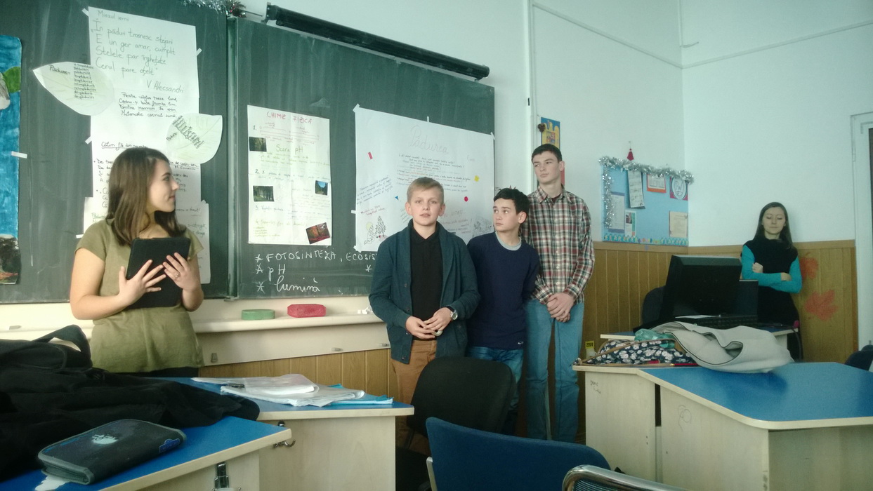 Pădurea „interdisciplinară” Pădurea „interdisciplinară”