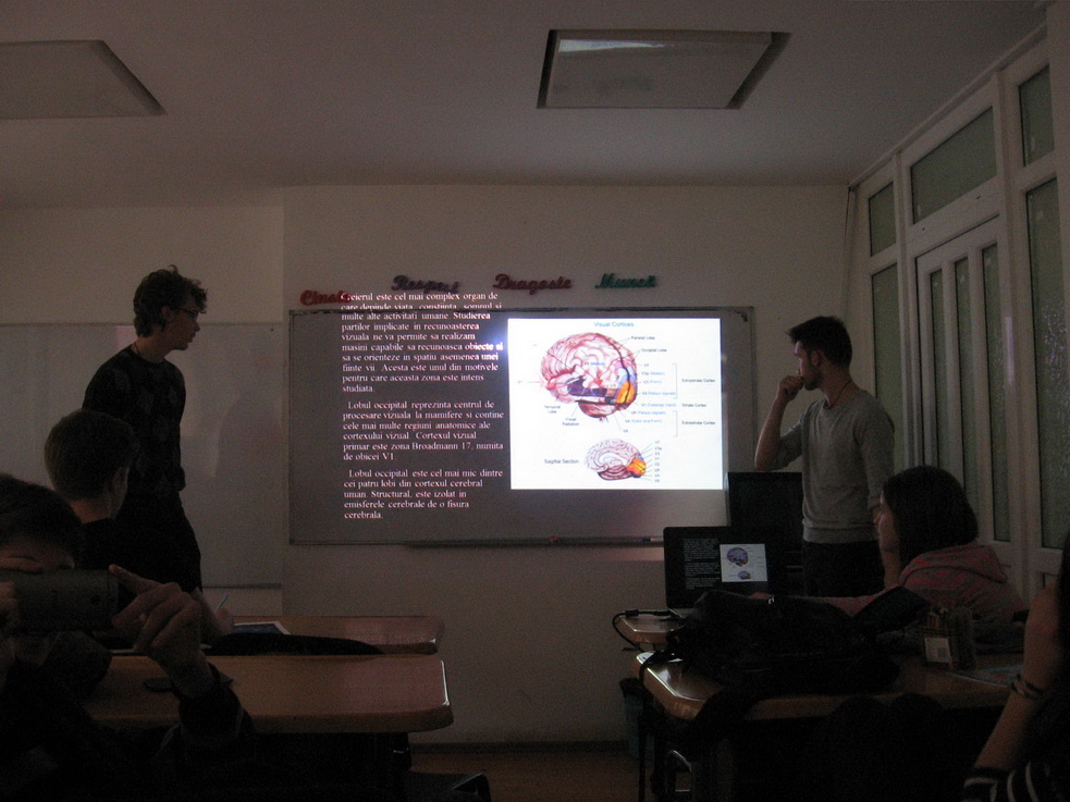 Interdisciplinaritate – despre creier Interdisciplinaritate – despre creier