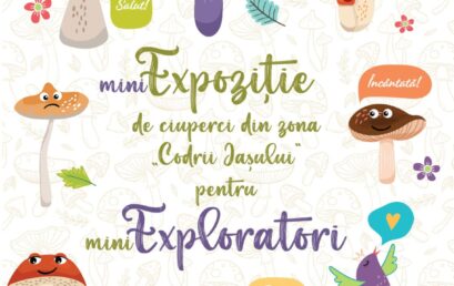 Mini-expoziție pentru mini-exploratori